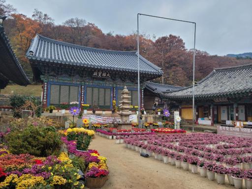 개심사대웅전