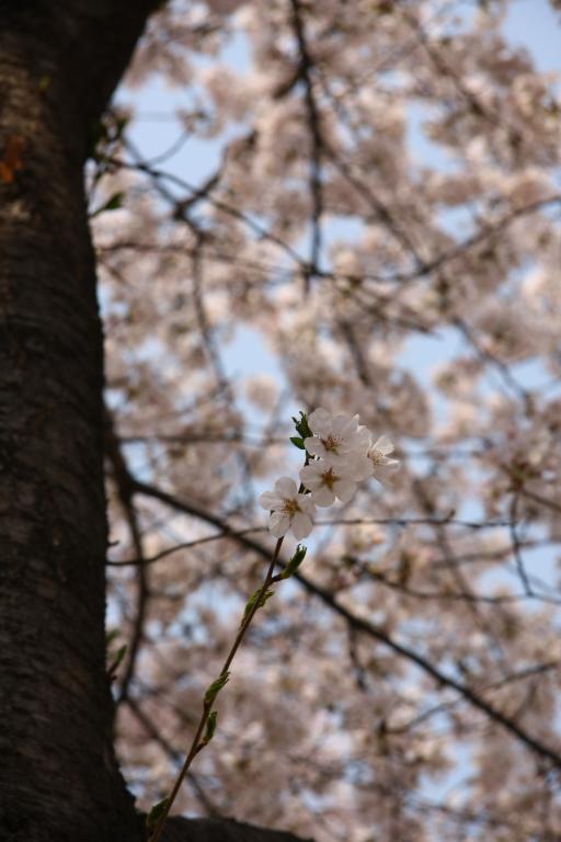 제주신산공원