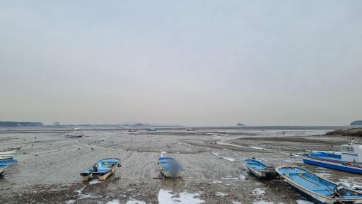 6. 영종도