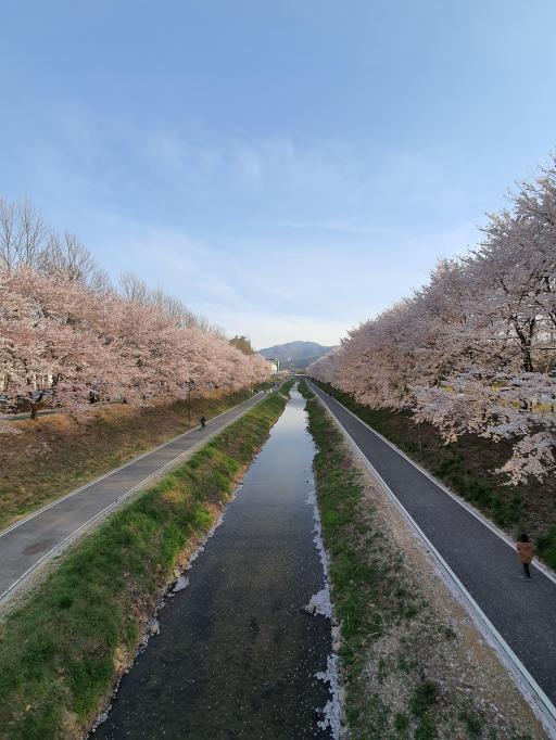 양재천변