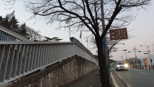금강공원