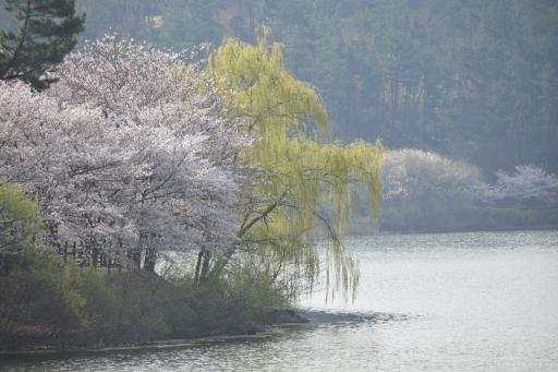 선암호수공원