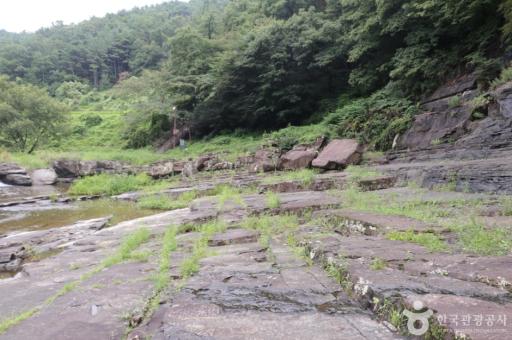 천전리공룡발자국화석
