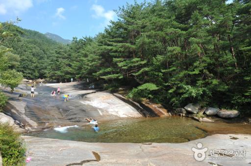 도림사계곡