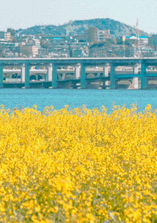 103. 서래섬