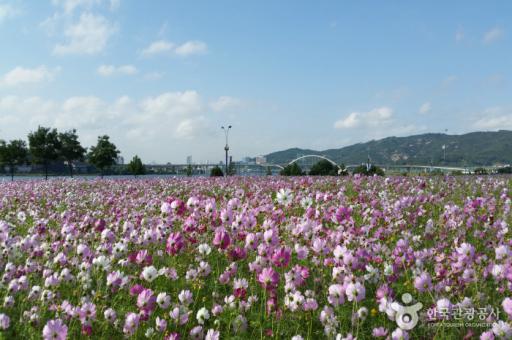 구리한강시민공원