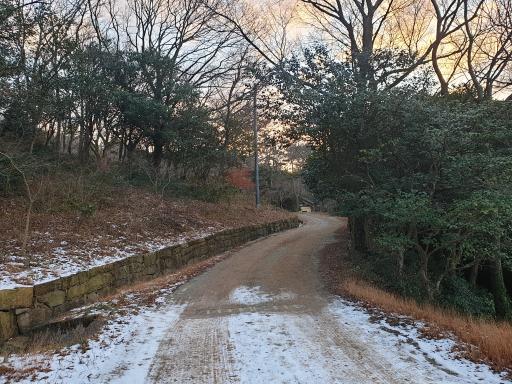 달마산