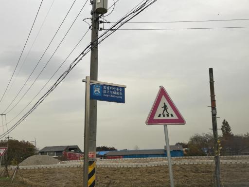반룡송