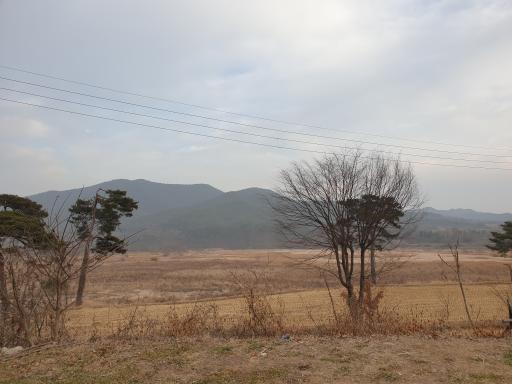 낙동강12경(부용경) 부용대