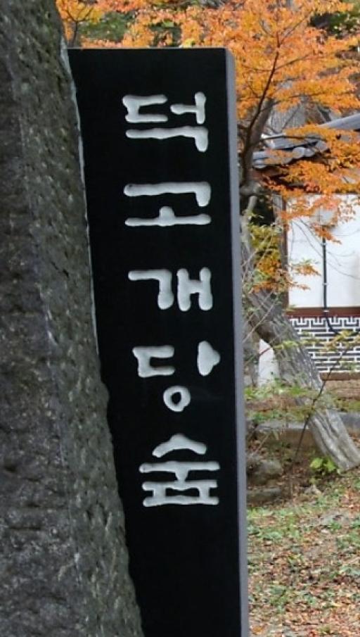 939. 덕고개당숲