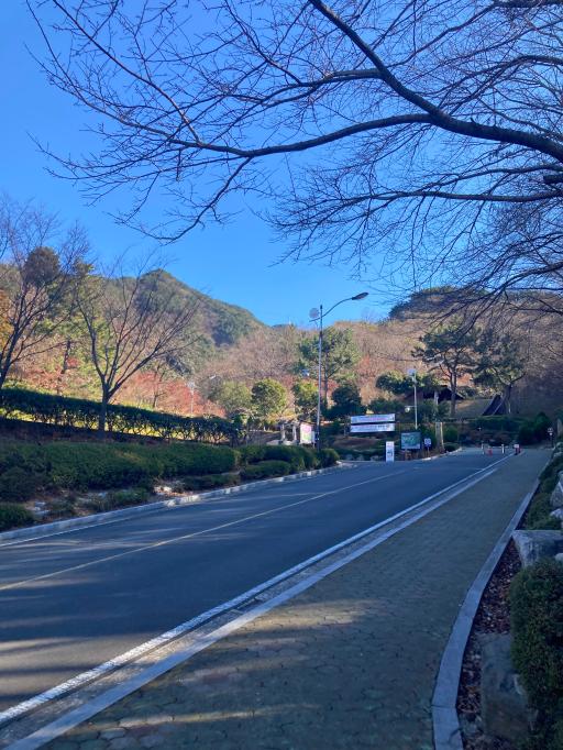 진해드림파크 목재문화체험장