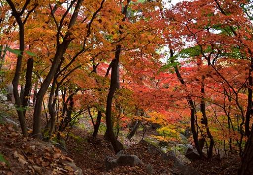 도봉산