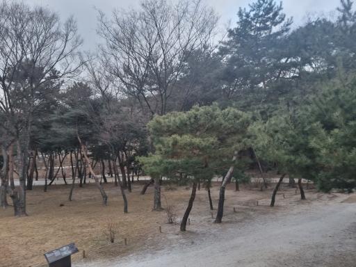 선정릉