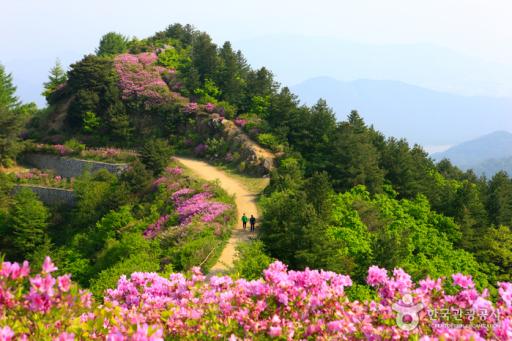 바래봉