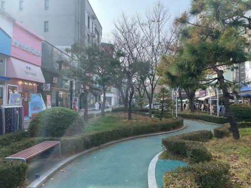장미의거리