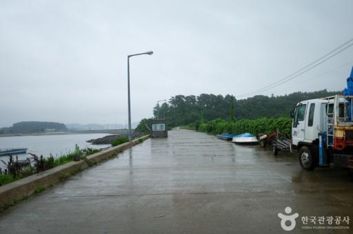 42. 메추리섬