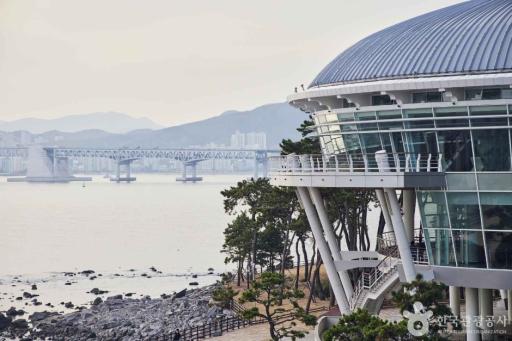 22. 동백섬