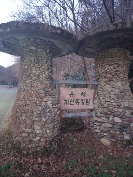 248. 유치자연휴양림관리사무소