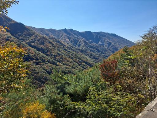 쇠점골