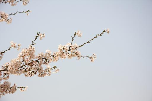 앞산빨래터공원