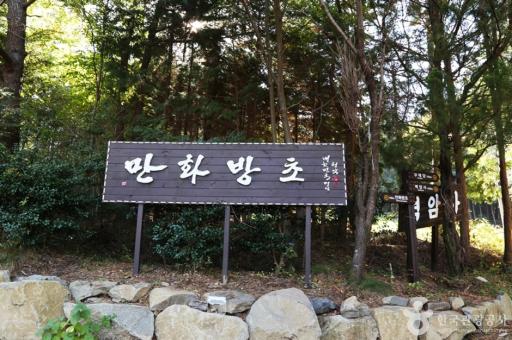 만화방초