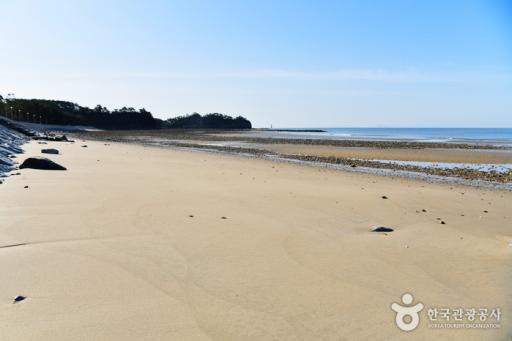 백사장해수욕장