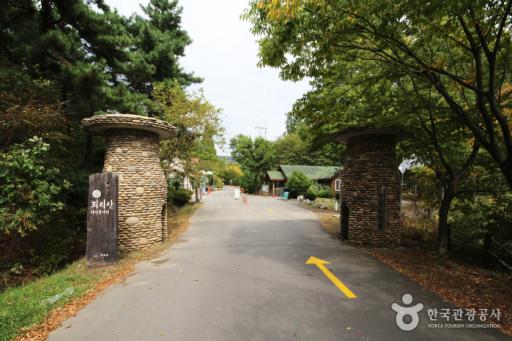63. 희리산해송자연휴양림