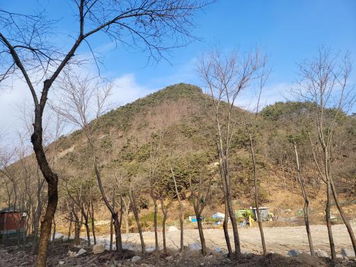 사랑산