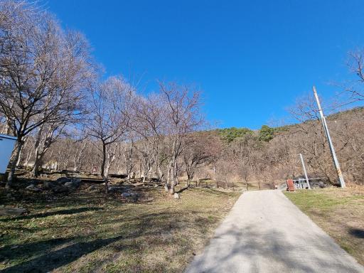 함허동천계곡