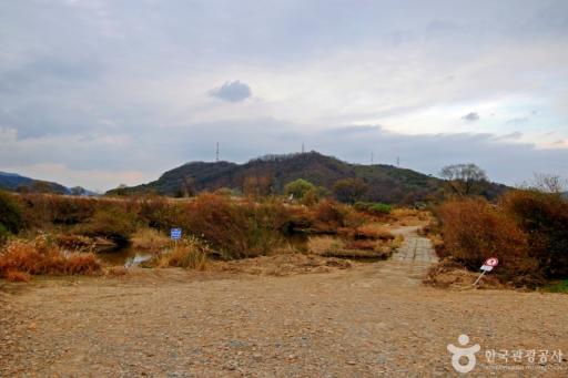 1202. 한강7경(봉황경) 능암리섬