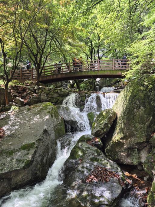 213. 금오산케이블카