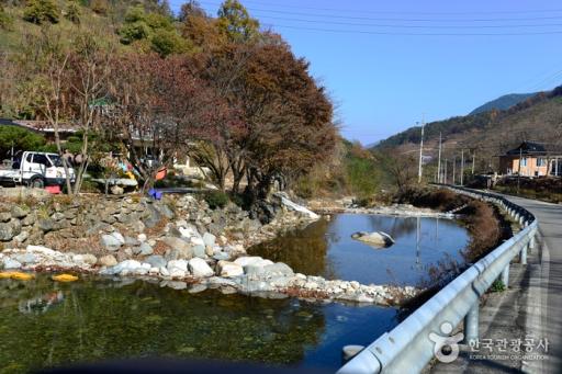 고운동계곡
