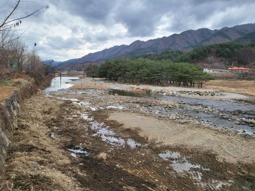 송정숲