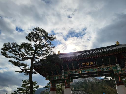 동의보감촌