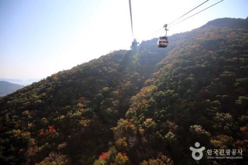 미륵산