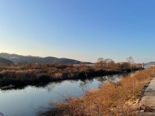 51. 당남리섬