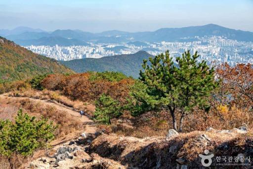 백양산