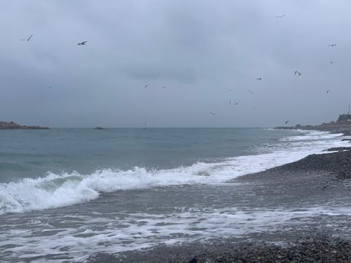 봉길대왕암해변