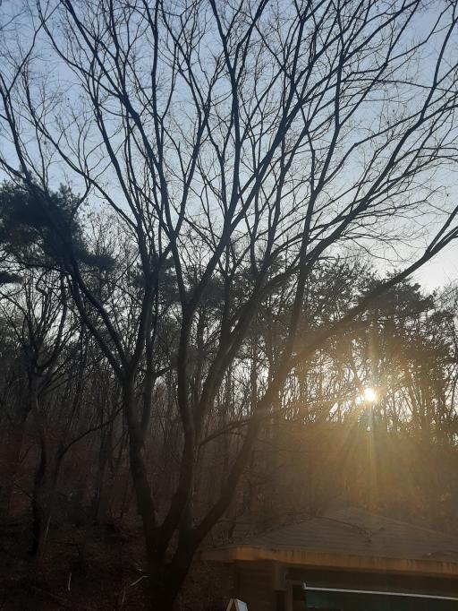 서울대공원 자연캠프장