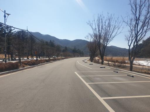 정이품송