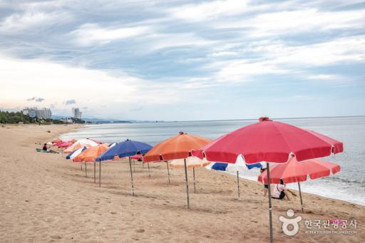 송정해변