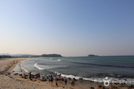 화진포해변