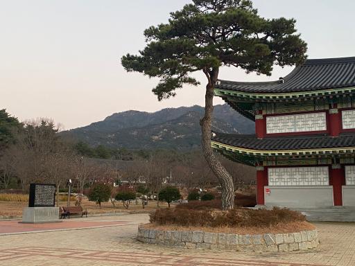 왕인박사유적지