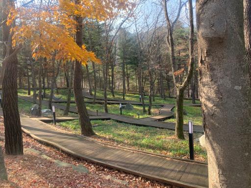 100. 토함산자연휴양림