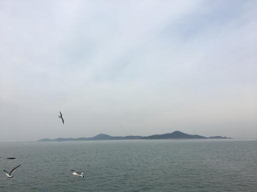 60. 장봉도