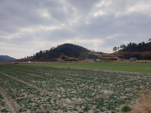 74. 비금도