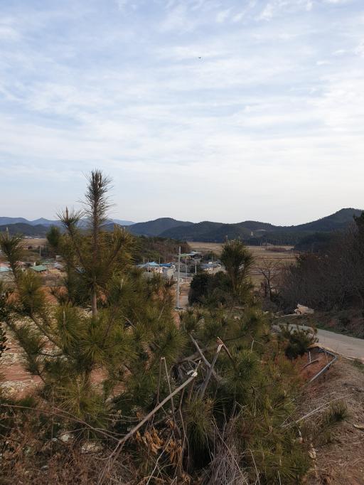 104. 고금도
