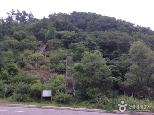 소구니산
