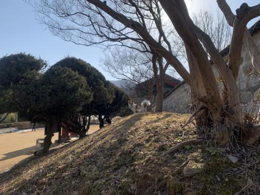 신유장군유적지