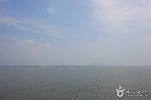 102. 압해도